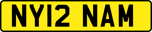 NY12NAM