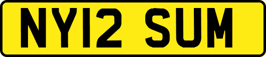 NY12SUM
