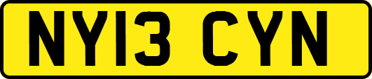 NY13CYN