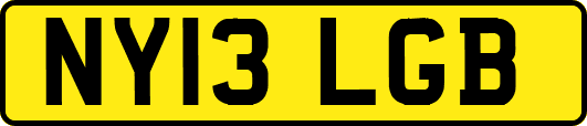 NY13LGB