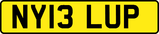 NY13LUP