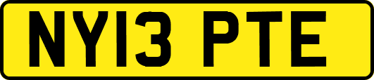 NY13PTE