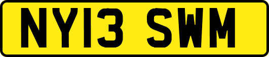 NY13SWM