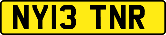 NY13TNR