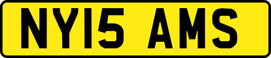 NY15AMS