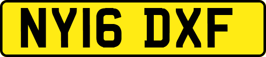 NY16DXF