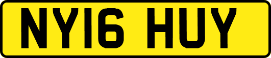 NY16HUY