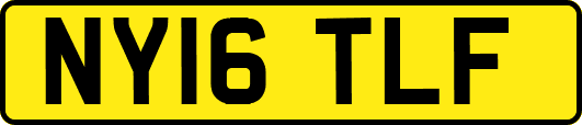 NY16TLF
