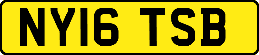 NY16TSB