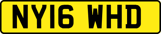 NY16WHD