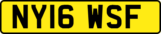 NY16WSF