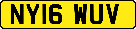 NY16WUV