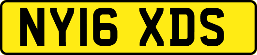 NY16XDS