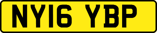 NY16YBP