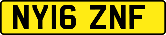NY16ZNF