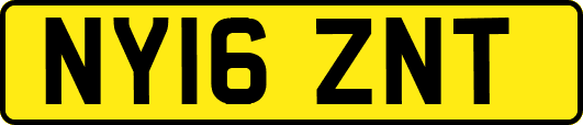 NY16ZNT