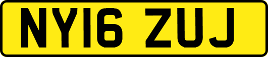 NY16ZUJ