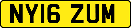 NY16ZUM