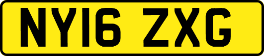 NY16ZXG