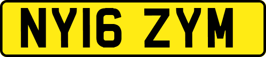 NY16ZYM