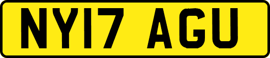 NY17AGU