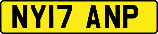 NY17ANP