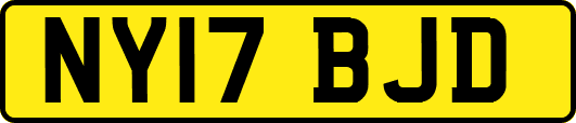 NY17BJD