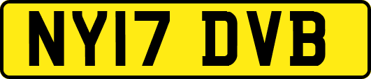 NY17DVB