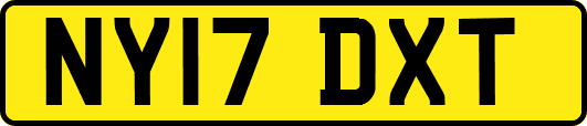 NY17DXT