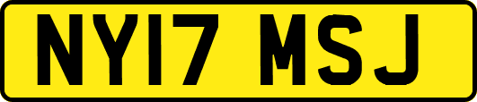 NY17MSJ