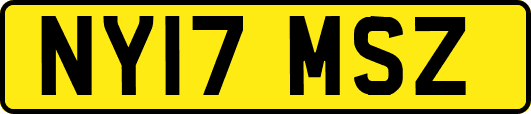 NY17MSZ