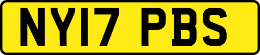 NY17PBS