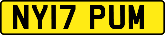 NY17PUM
