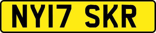 NY17SKR