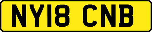 NY18CNB