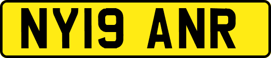 NY19ANR