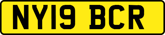 NY19BCR