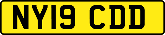 NY19CDD