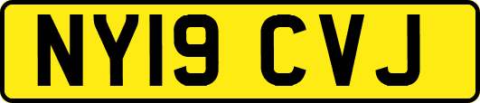 NY19CVJ