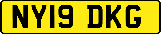 NY19DKG