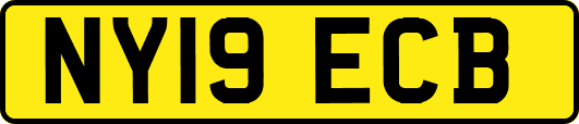 NY19ECB