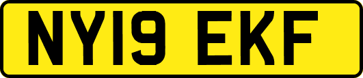 NY19EKF
