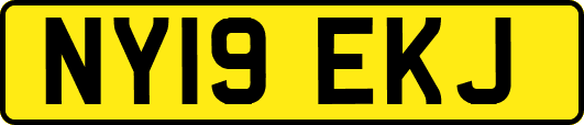 NY19EKJ