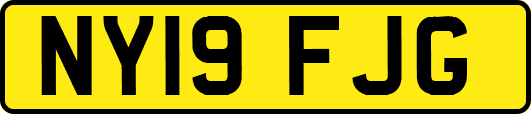 NY19FJG