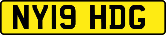 NY19HDG