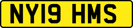 NY19HMS
