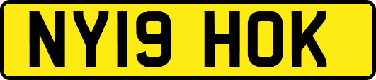 NY19HOK