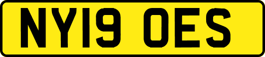 NY19OES