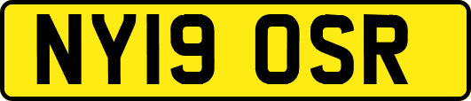NY19OSR