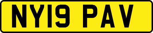NY19PAV
